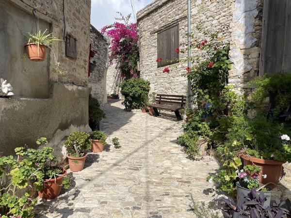 Cyprus vacation