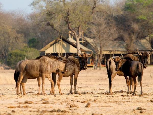 South Africa & Vic Falls active adventure