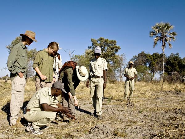 Okavango and Chobe wildlife holiday