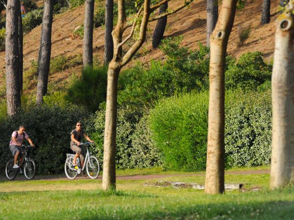 Arcachon Bay cycling vacation, France