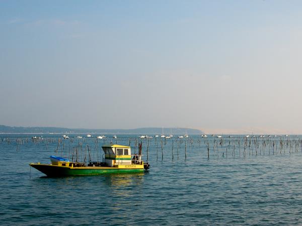 Arcachon Bay cycling vacation, France