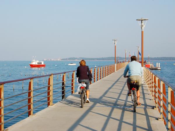 Arcachon Bay cycling vacation, France