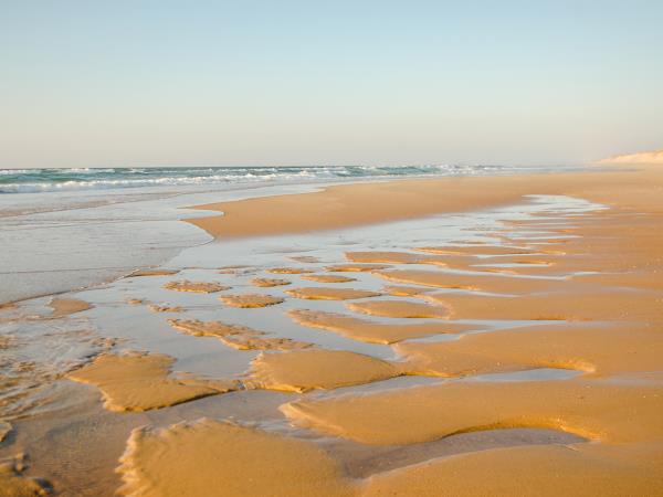Arcachon Bay cycling vacation, France
