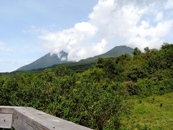 Uganda wildlife and conservation tour