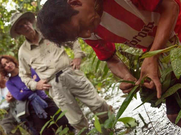 Machu Picchu and Amazon vacation, Peru