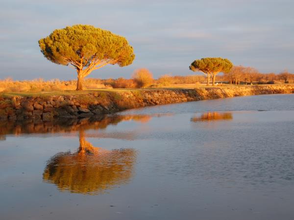 Arcachon Bay biking tour, France