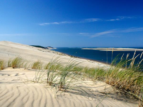 Arcachon Bay biking tour, France