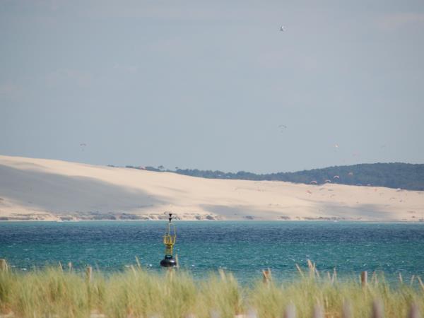 Arcachon Bay biking tour, France