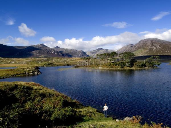 Dublin, Belfast & Causeway Coast guided rail tour 