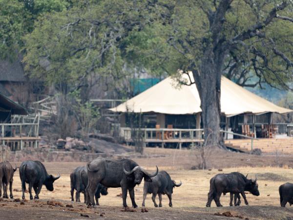 Victoria Falls, Hwange and Mana Pools, Zimbabwe
