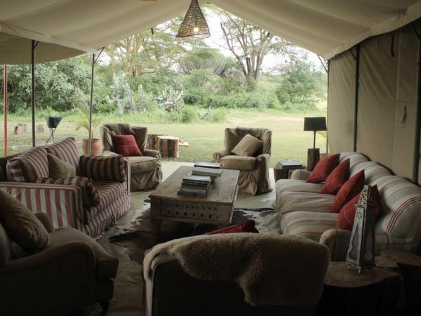 Kenya wildlife volunteering vacation
