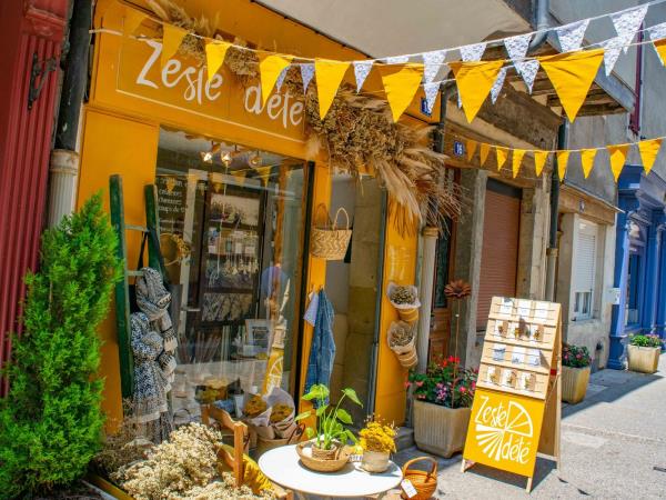 France culture and wellbeing vacation in Toulouse