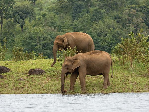Highlights of Kerala vacation, small group