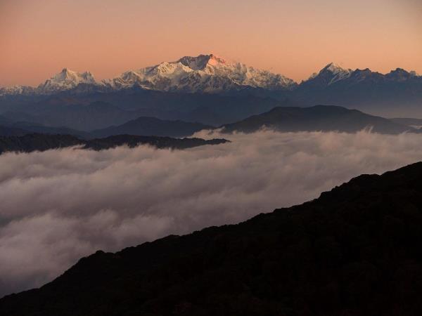 Red panda & rhino wildlife tour in India