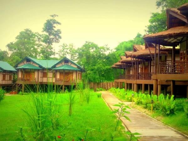 Red panda & rhino wildlife tour in India