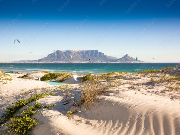 South Africa, wine, whales & safari self drive vacation
