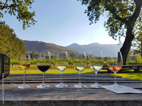 South Africa, wine, whales & safari self drive vacation