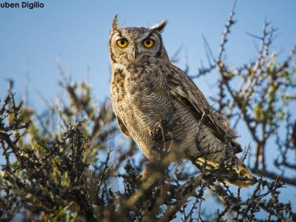 Bah�a Bustamante wildlife vacation, Argentina