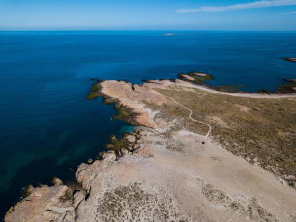 Bah�a Bustamante wildlife vacation, Argentina