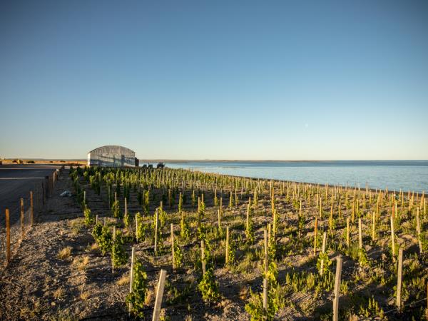 Bah�a Bustamante wildlife vacation, Argentina