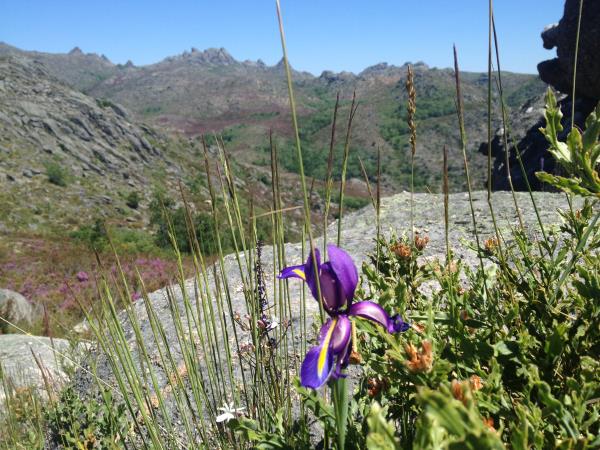 Peneda Geres National Park self guided hiking vacation