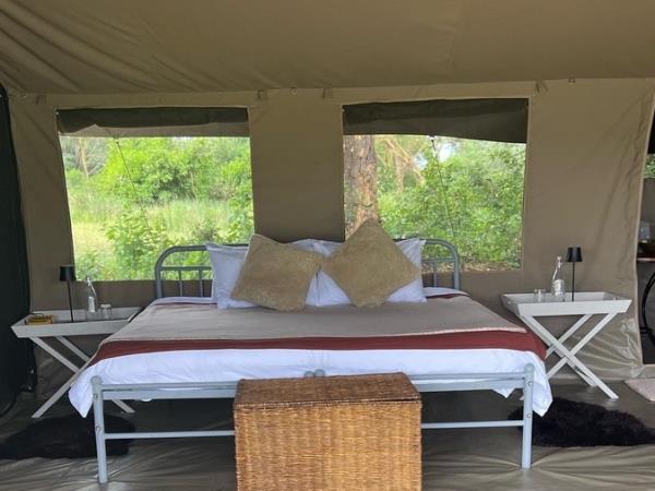 Kenya wildlife volunteering vacation