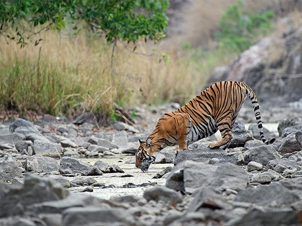 India luxury 16 day tour