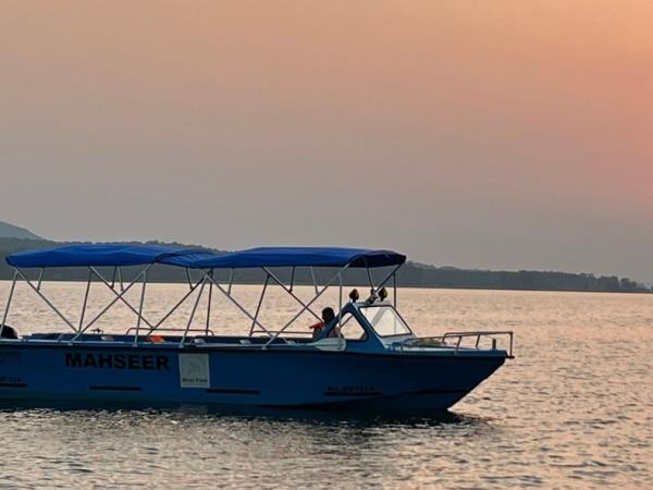 Golden Triangle and Central India tiger safari 