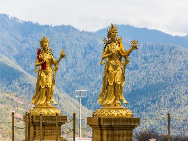 Thimphu and Gangtey Tshechu festivals tour, Bhutan