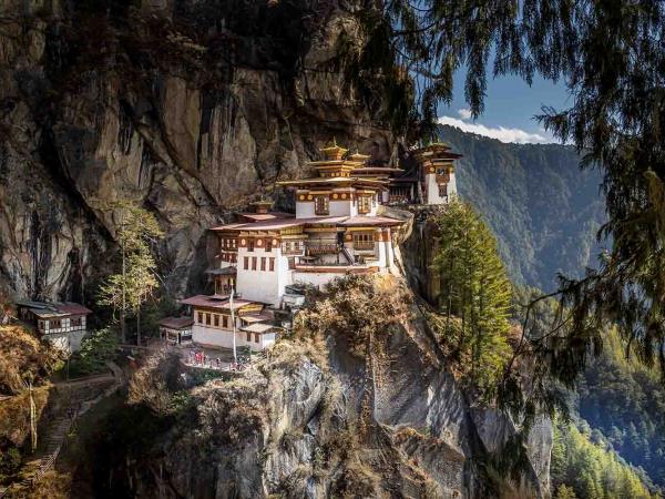 Thimphu and Gangtey Tshechu festivals tour, Bhutan