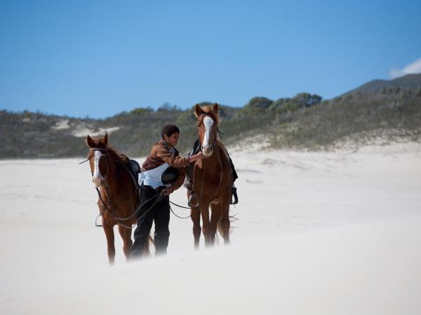 Horseback safari in South Africa