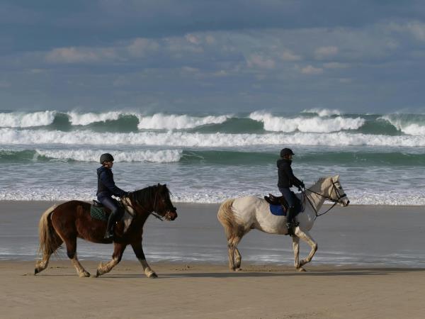 Horseback safari in South Africa