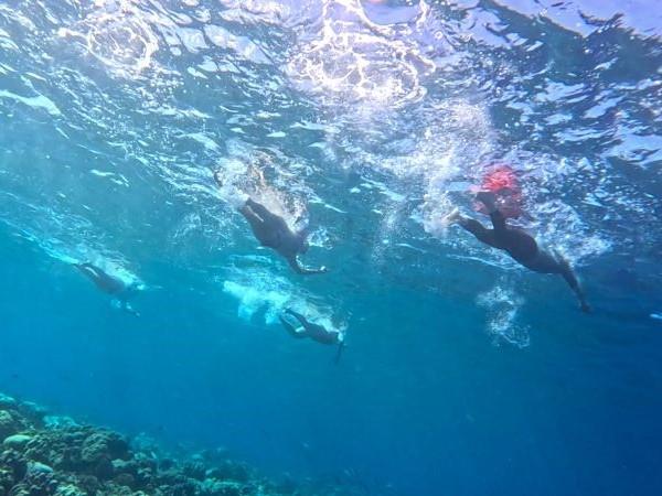 Maldives swimming vacation