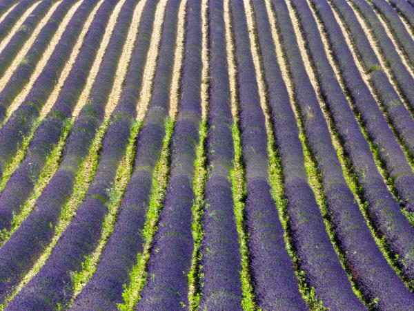 Provence walking and spa vacation, France