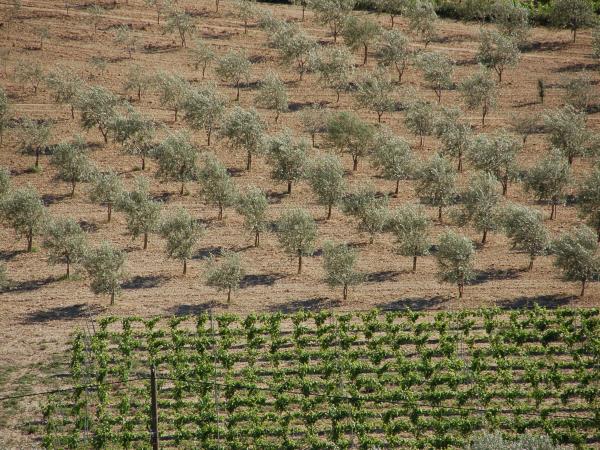 Provence walking and spa vacation, France