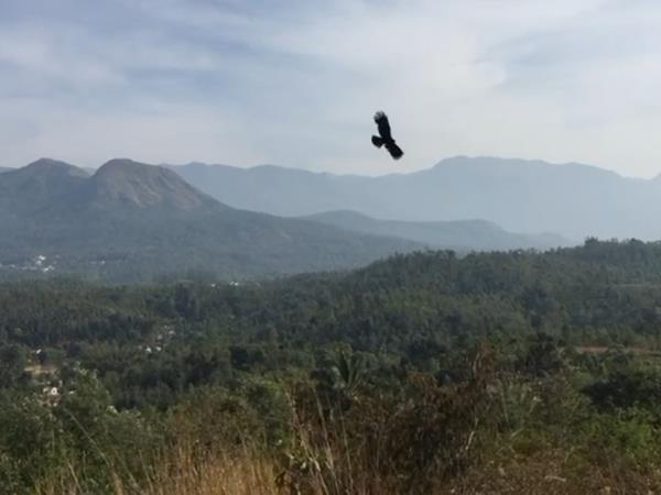 South India community volunteering vacation