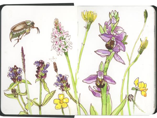 Sketchbook painting holiday in Greece