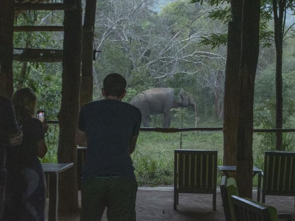 Yala jungle lodge accommodation in Sri Lanka