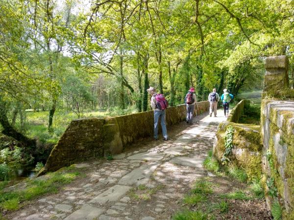Walk the Camino French Way from Le�n