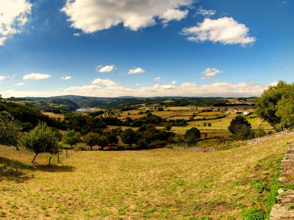 Walk the Camino French Way from Le�n