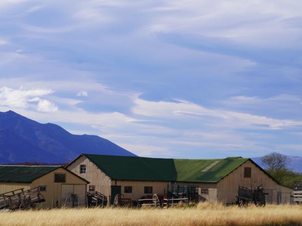 El Calafate & El Chalt�n vacation, Patagonia