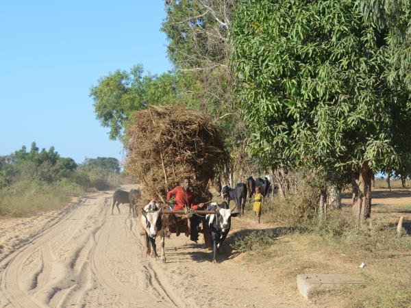 Madagascar guided nature tour