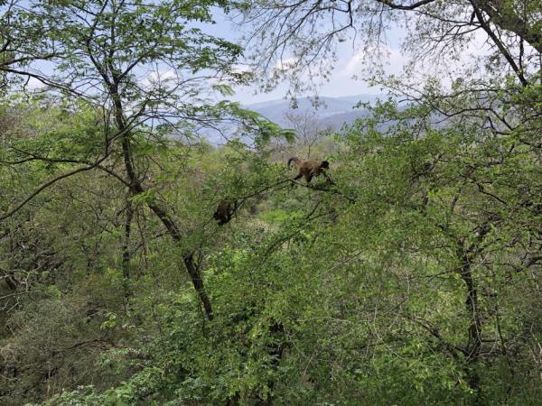 Yungas de Jujuy jungle lodge, Northern Argentina