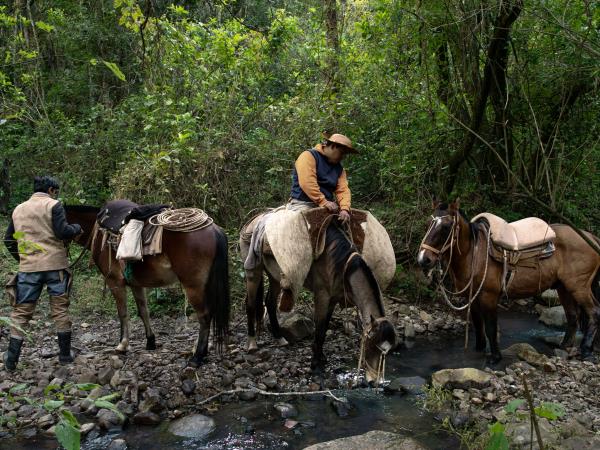 Yungas de Jujuy jungle lodge, Northern Argentina