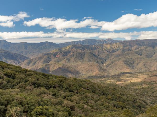 Yungas de Jujuy jungle lodge, Northern Argentina