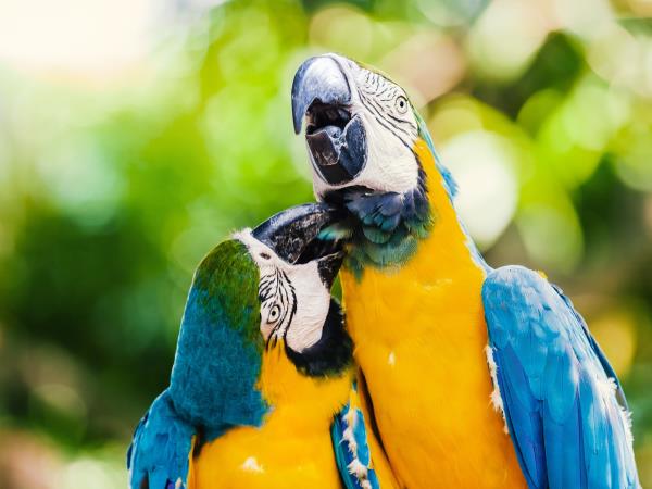 Colombia family adventure vacation
