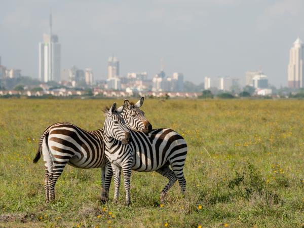 Highlights of Kenya vacation in luxury