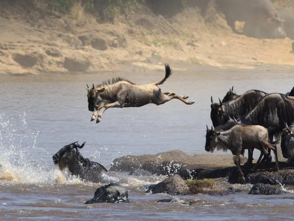 Highlights of Kenya vacation in luxury