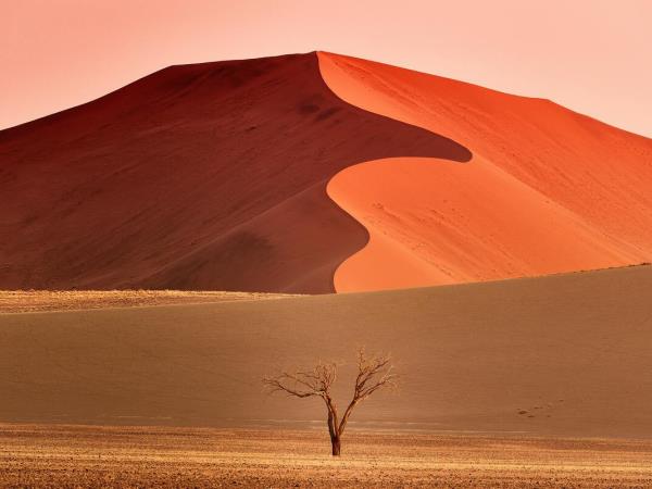 Namibia rhino tracking vacation