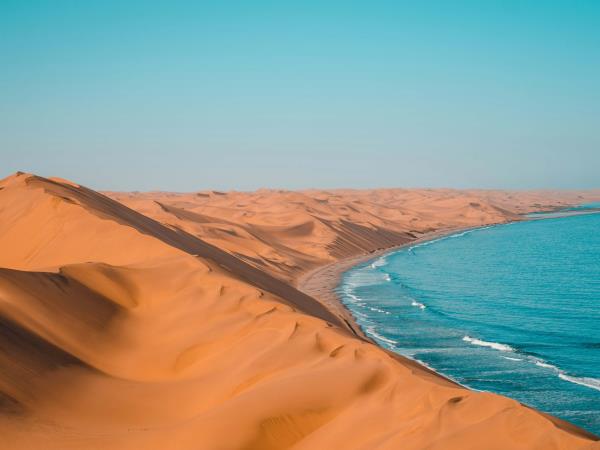 Namibia rhino tracking vacation